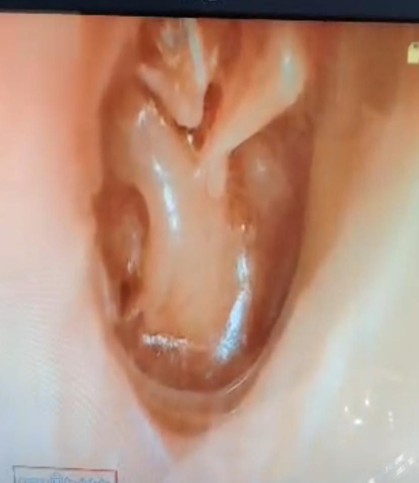 WhatsApp Image 2026-02-02 at 11.13.17 (1)