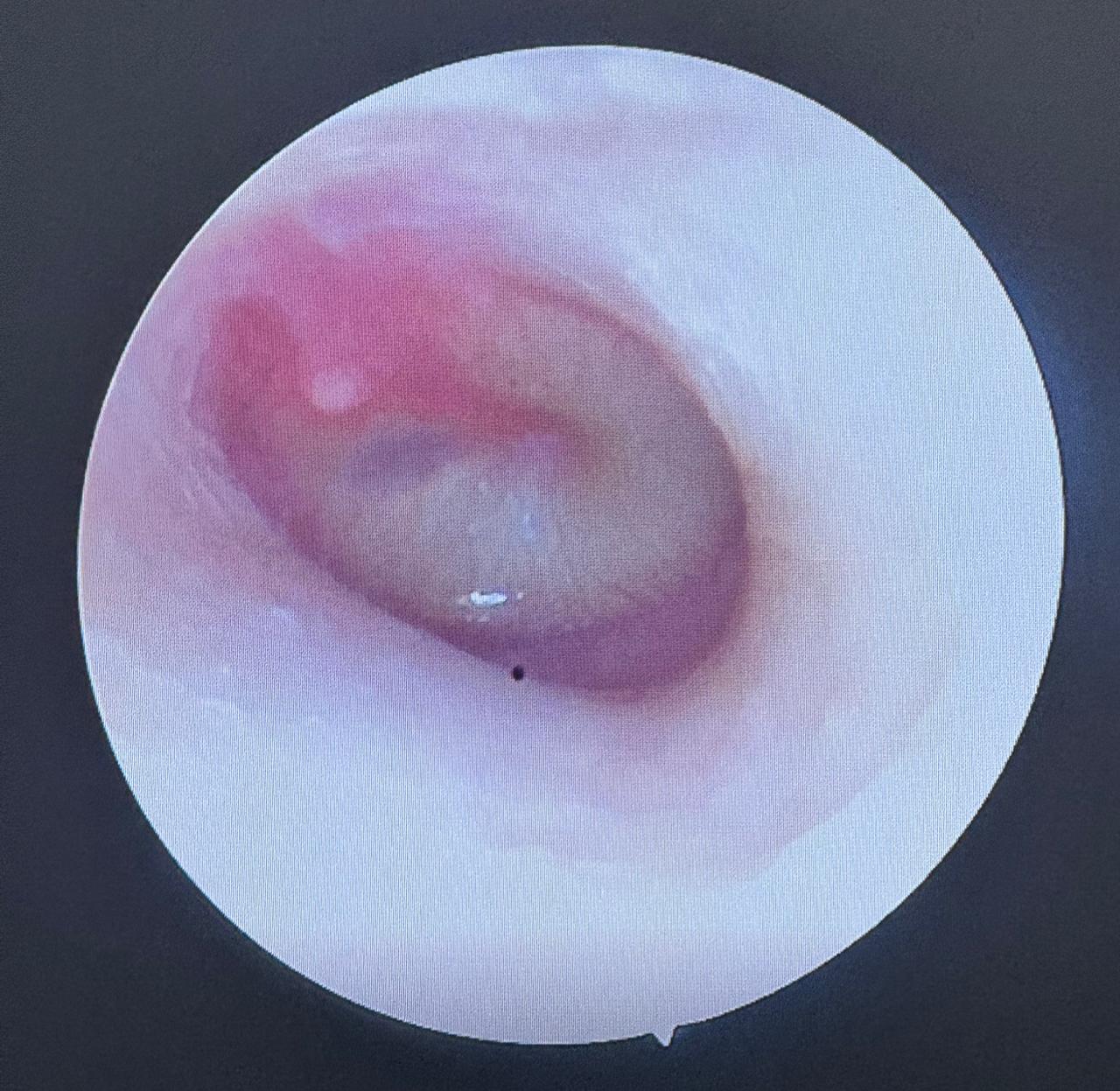 WhatsApp Image 2026-02-02 at 11.13.17