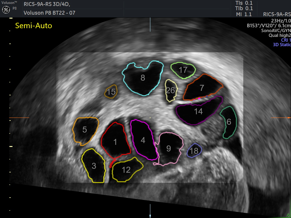 WhatsApp Image 2026-03-01 at 15.16.53 (1)