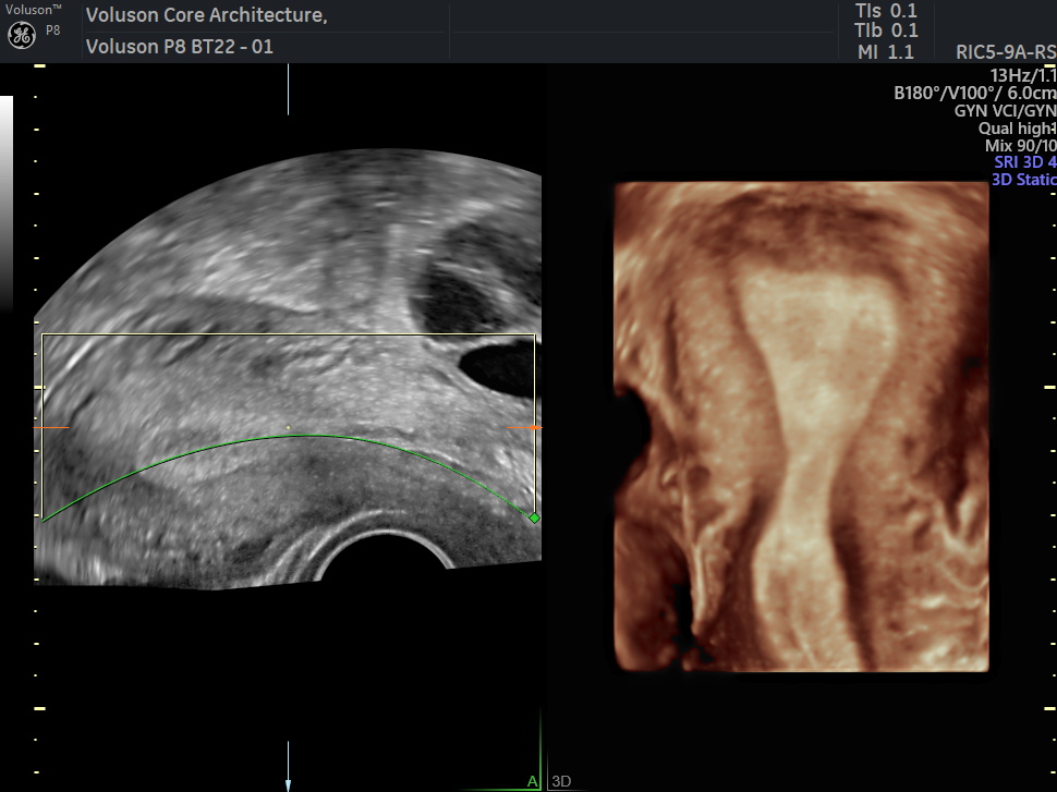 WhatsApp Image 2026-03-01 at 15.16.53