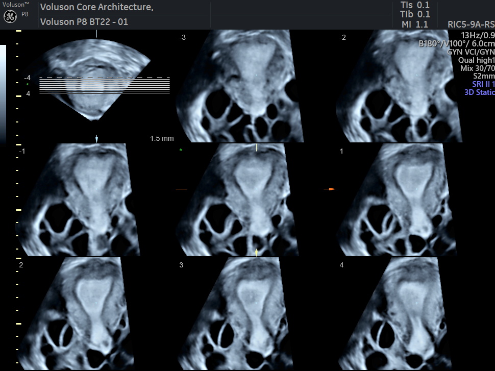 WhatsApp Image 2026-03-01 at 15.16.54