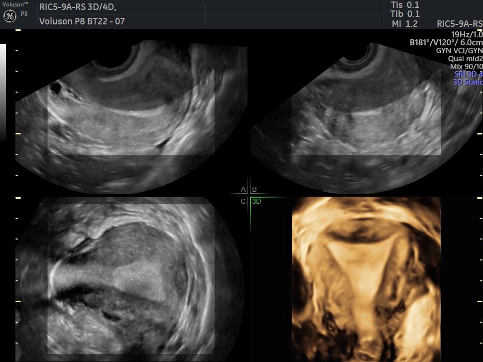 WhatsApp Image 2026-03-01 at 15.16.55 (1)