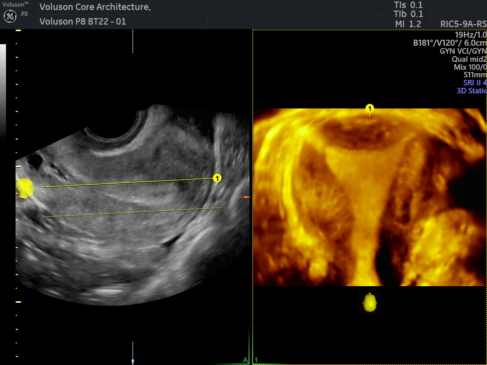 WhatsApp Image 2026-03-01 at 15.16.55