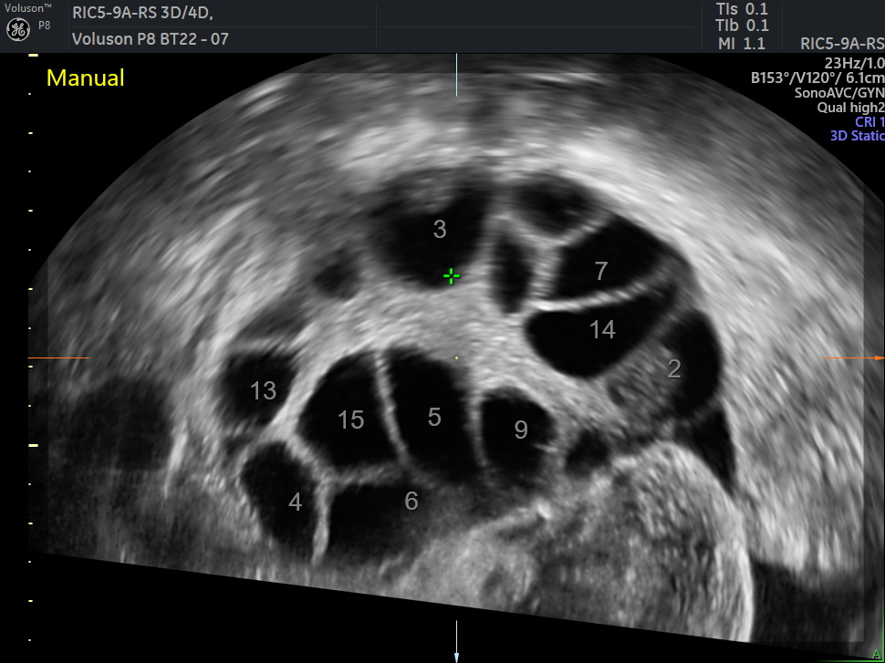 WhatsApp Image 2026-03-01 at 15.16.56